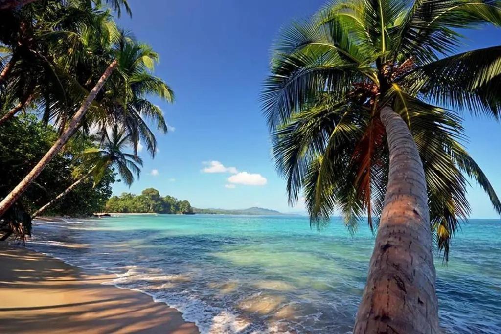 Roca Mar Rocawelch Puerto Viejo Aparthotel Puerto Viejo de Talamanca Kültér fotó